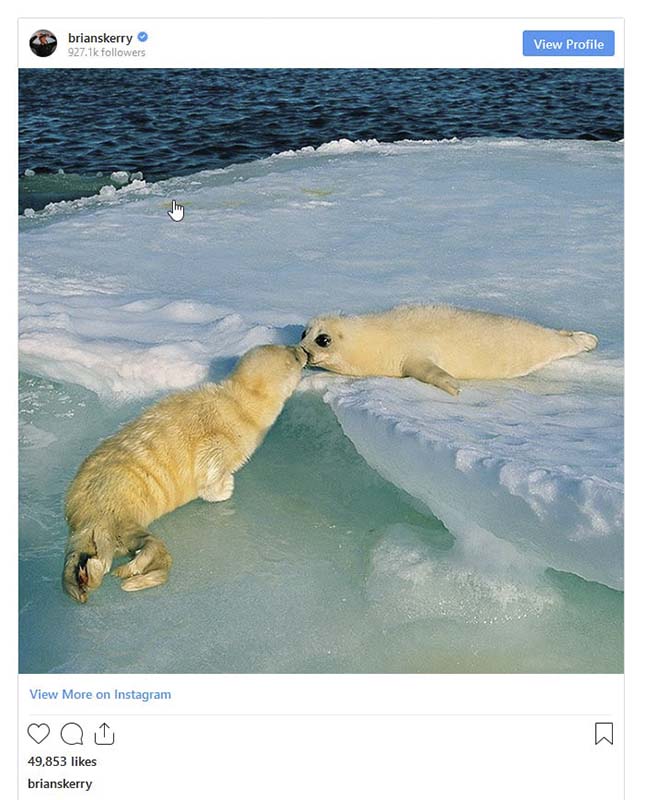 photoinfo.org Brian Skerry 1
