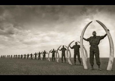 photoinfo.org Nick Brandt 2