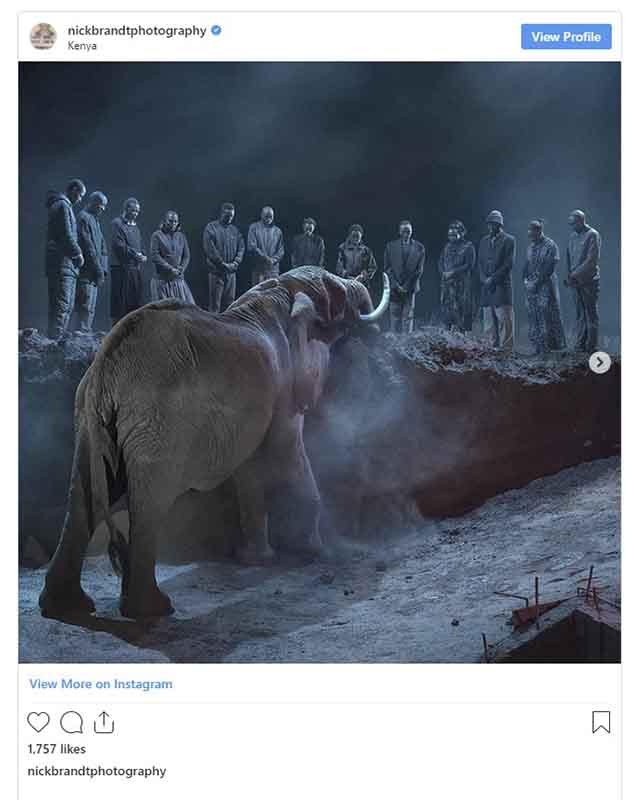 photoinfo.org Nick Brandt 6